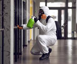 Best Commercial Mold Inspection  in Belton, MO